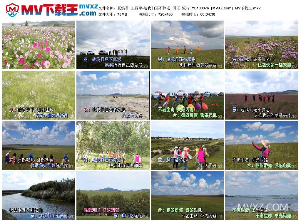 夏洪君_王丽萍-趁我们还不算老_国语_流行_YE100376